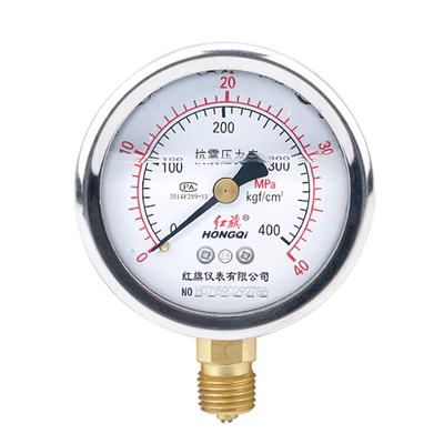 Hongqi thương hiệu YTN-60 xuyên tâm bằng thép không gỉ chống sốc đồng hồ đo áp suất chân không nước dầu áp suất chất lỏng 2.5 đầu nối M14 chính xác đồng hồ áp suất yamaki đồng hồ áp suất điện tử